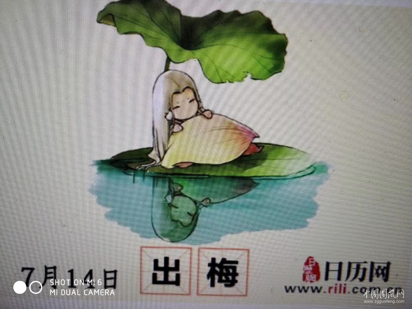 今日出梅杂感   文/吴忠芹