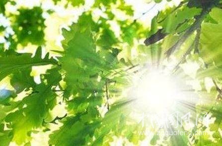 天气的预报