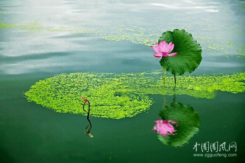 学会欣赏