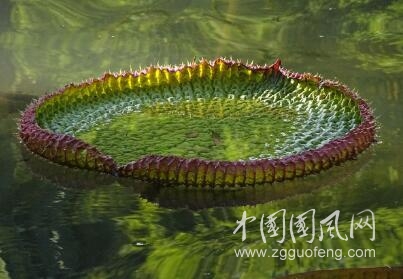 错误