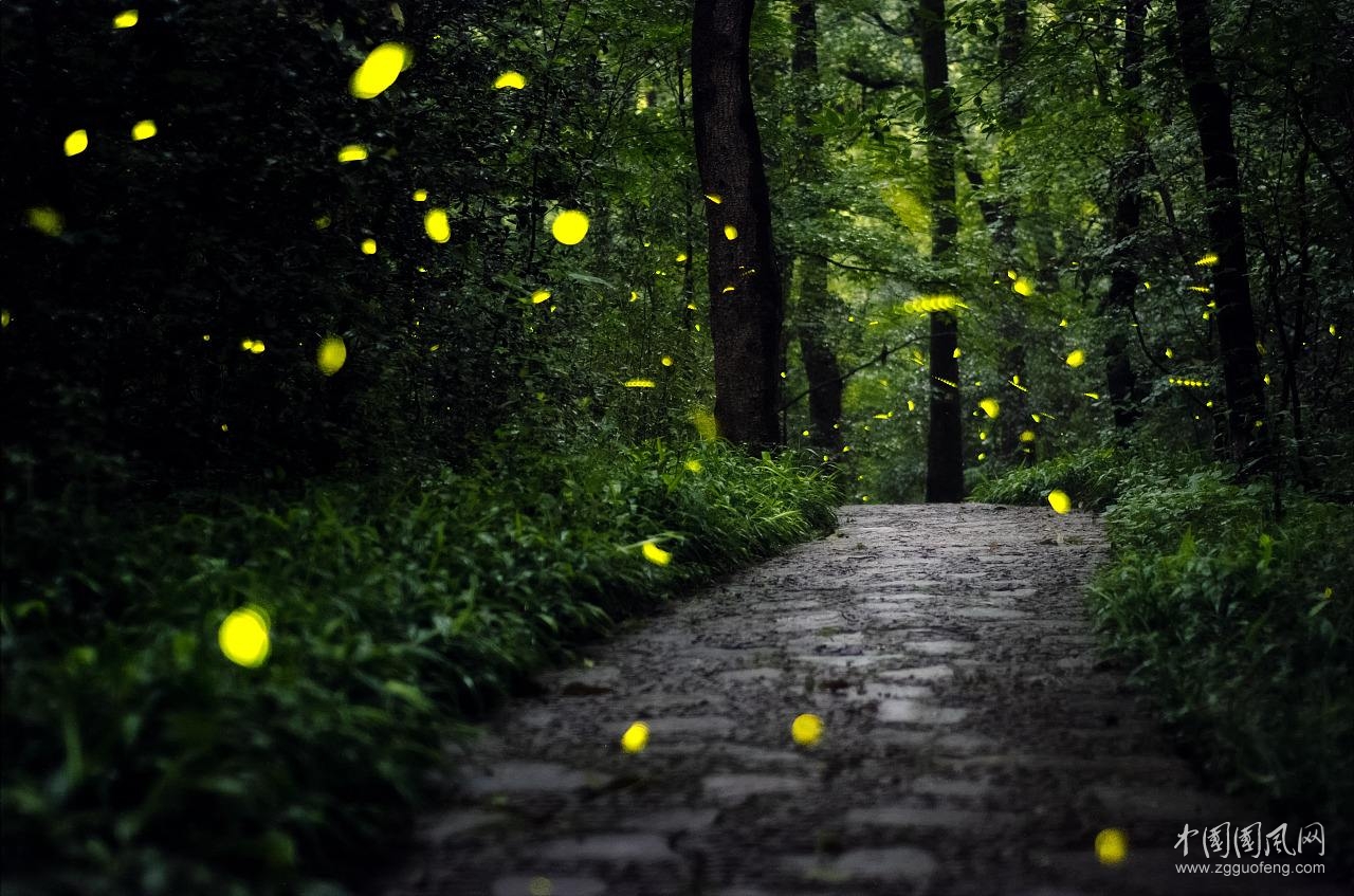 驻村扶贫夜晚遐想    文/张超我
