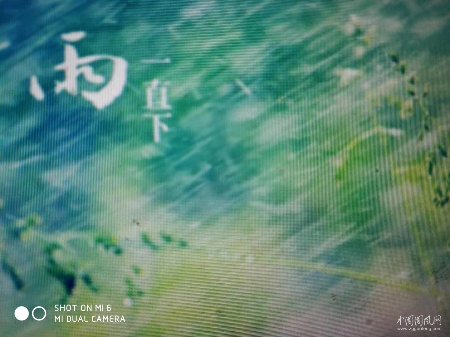     淋  雨     文/吴忠芹