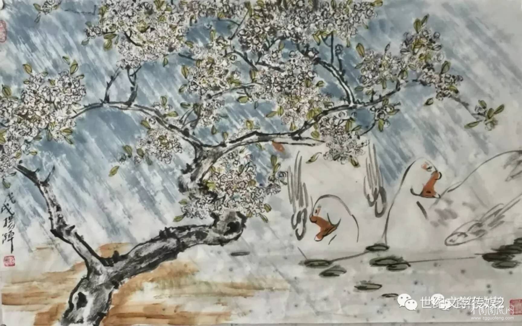 梦里花落梨花雨  文/张晴