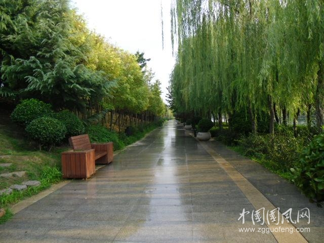 《骄阳下的喷淋水》         文/青春鸟