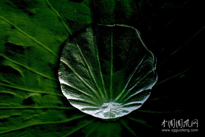 大暑最后