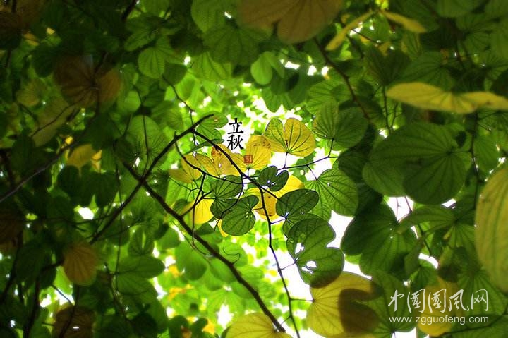    立秋感悟            文\ 李德新