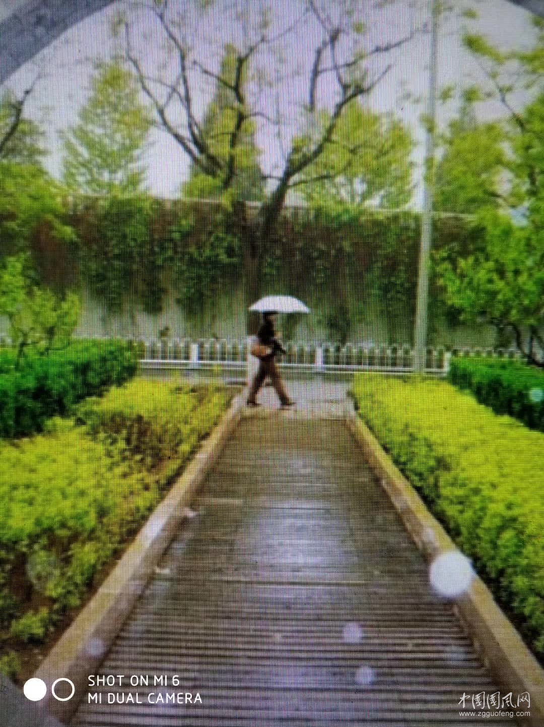 秋   雨   文\吴忠芹