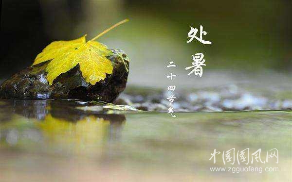 《处暑吓跑了秋老虎》          文/青春鸟