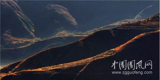 议题