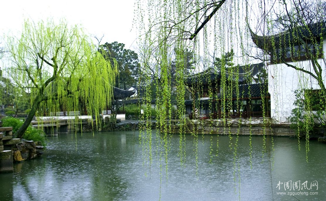 （小雨丝352）宫墙柳    文／陈金茂〔美国〕