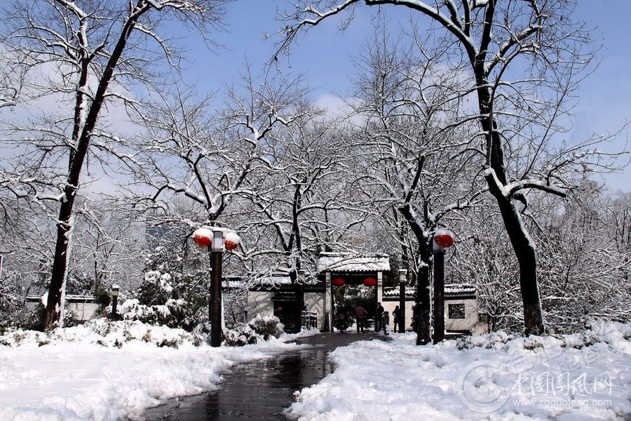 《我的白雪公主又来了》       文/青春鸟