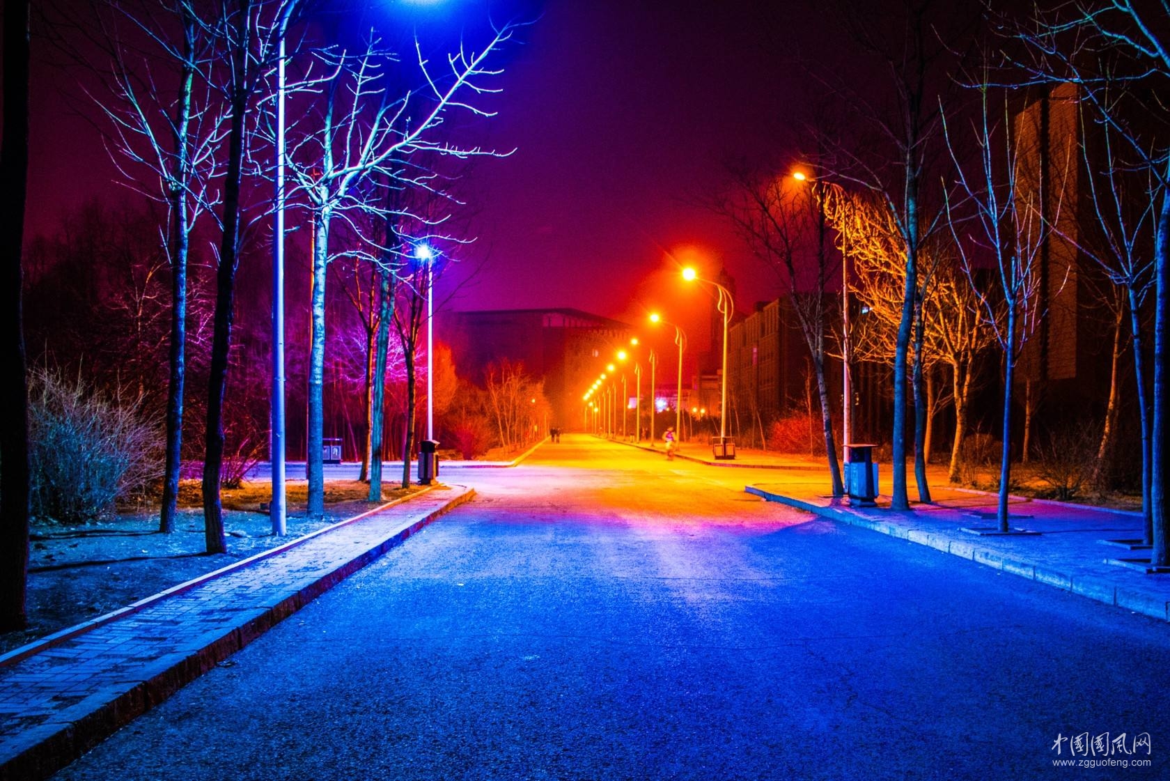    黑夜的灯   文/青春鸟(新疆)