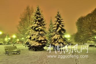 与冬相拥  文/张晴