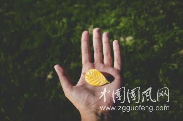 张开的手掌