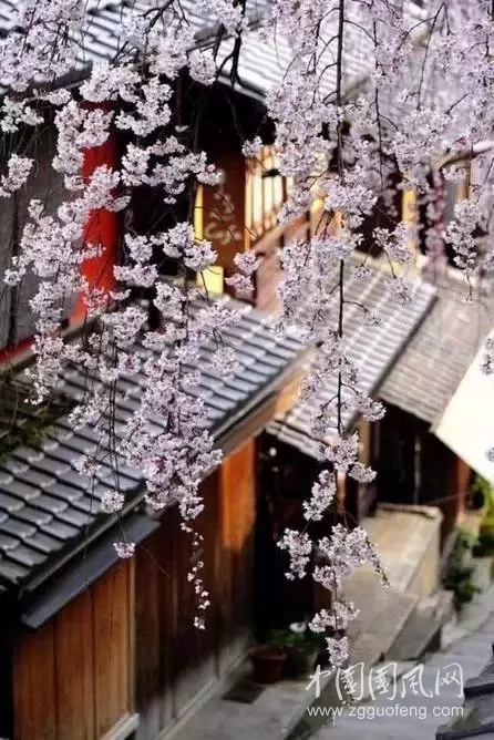 【一缕相思情】         文:雨婷