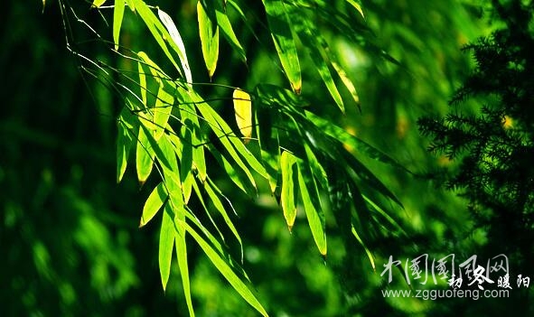 初冬的暖阳