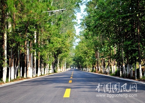 生命的道路    文/张超我