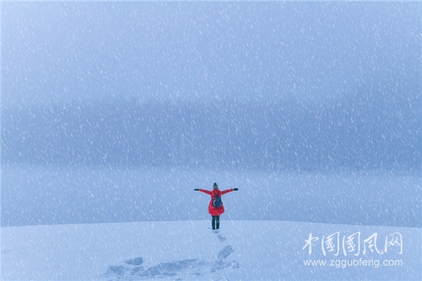 《雪中的爱》    （文/青春鸟）